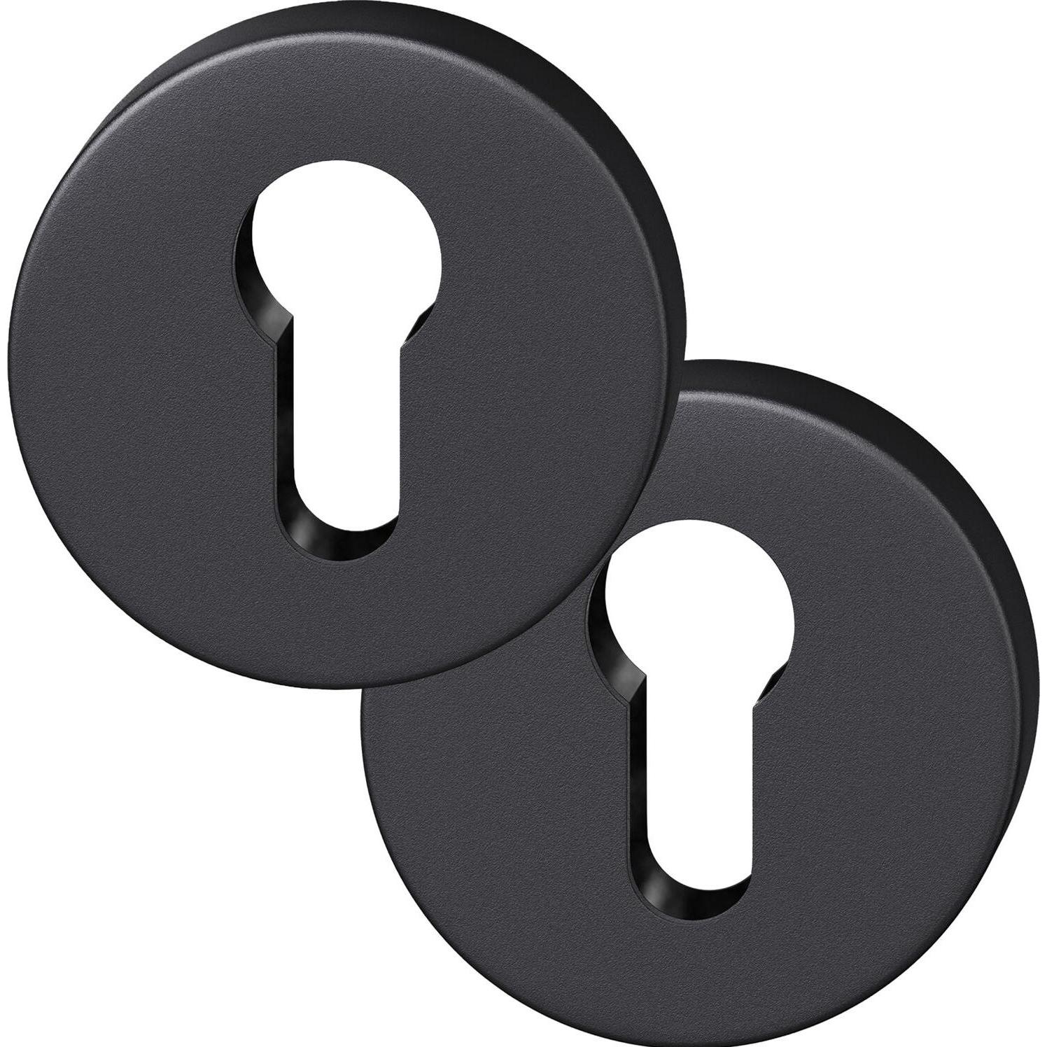 FSB, Türgriff + Fenstergriff, Zylinderrosette rund 12 1735 00010 ASL, Aluminium schwarz matt (Türgarnitur)