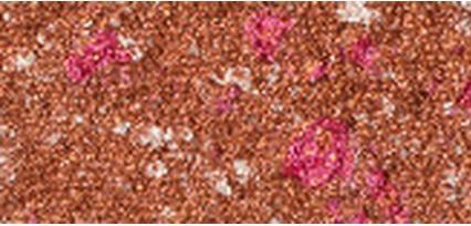 Actual product image Pupa Milano Highly pigmented eyeshadows Vamp! (Compact Eyeshadow) 1.5 g - Shade: 204 Fancy Copper (204 Fancy Copper)