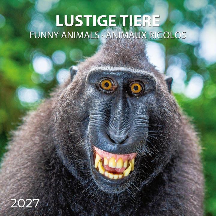 Produktbild Lustige Tiere / Funny Animals 2027