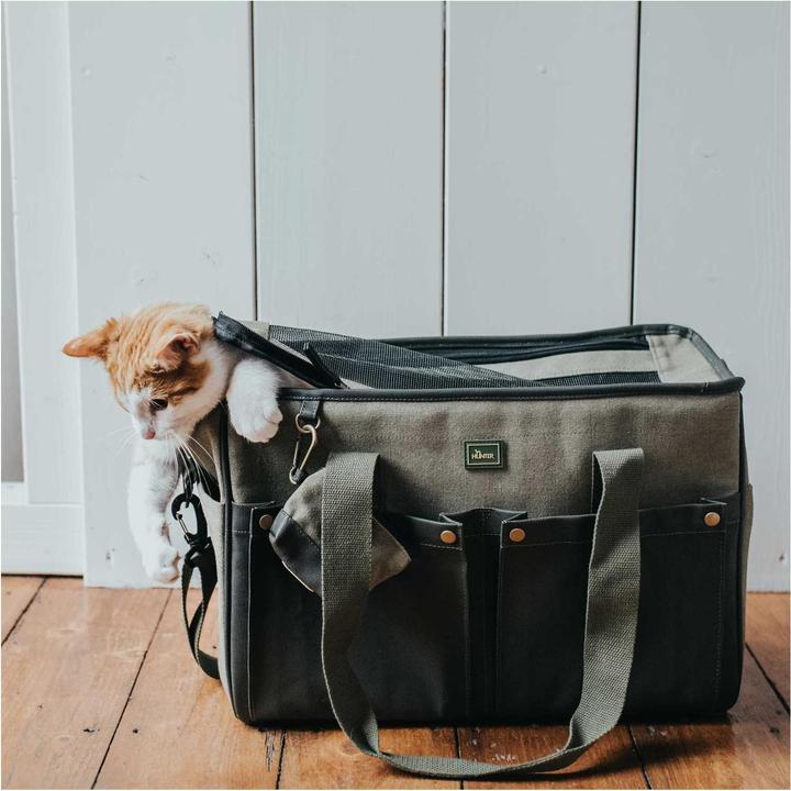 Produktbild Hunter Madison (Hund, Komplett zu öffnen)