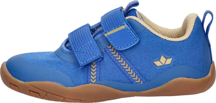 Image du produit Lico Aride V (25)