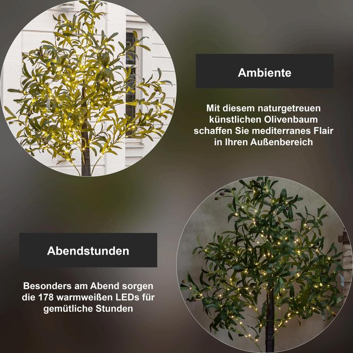 Image du produit Star Trading Arbre de décoration Olivec, 178 LED, 180 cm, vert (56 lm, IP44)