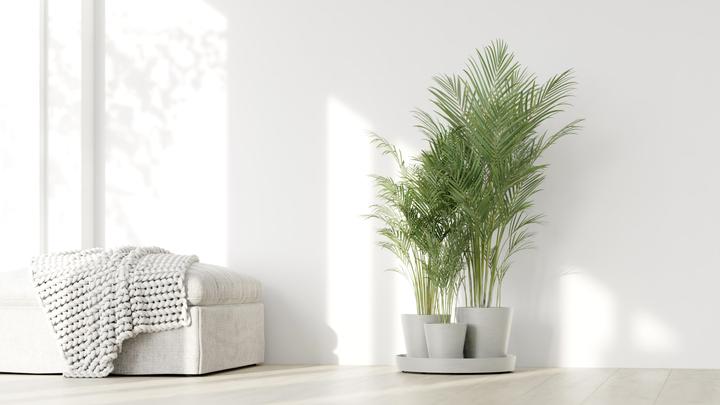 Produktbild Ecopots Dubai er Blumentopf - L 56,5 cm x H 30,7 cm - Innen- und Aussenbereich