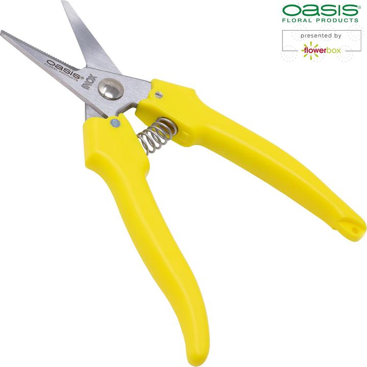 Image du produit Oasis Sécateurs pour fleurs (17 cm)