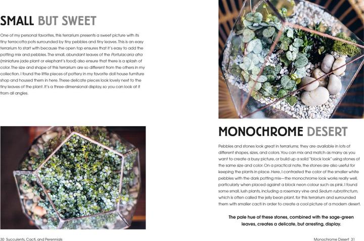 Actual product image Terrarium Imaginarium