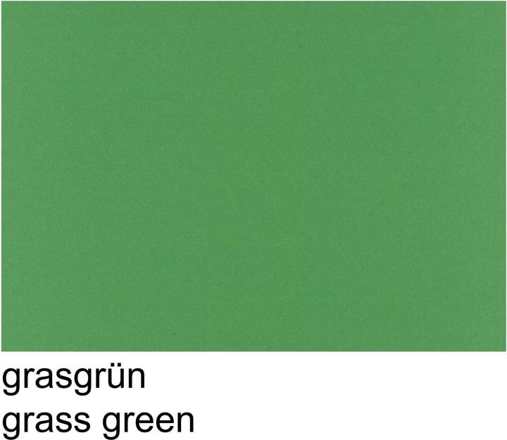 Papyrus Tonzeichen A4 130g grasgr (130 g/m², 100 x)