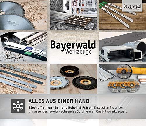 Produktbild Bayerwald Werkzeuge RaspelscheibE