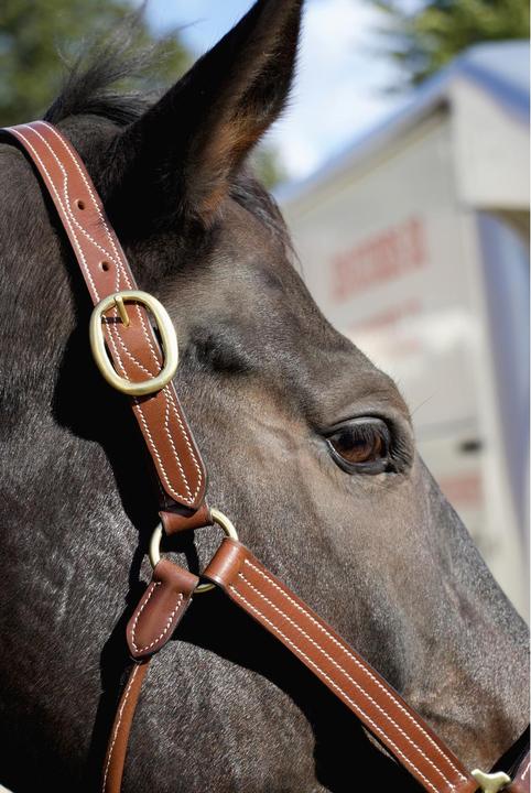 Produktbild TdeT Trippled Stiched