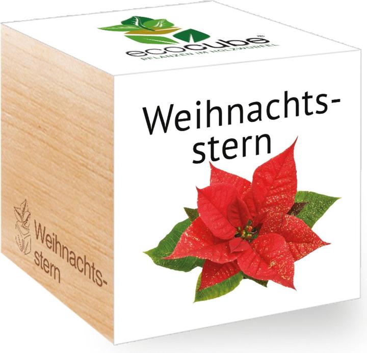 Feel Green Ecocube (Graines de fleurs)