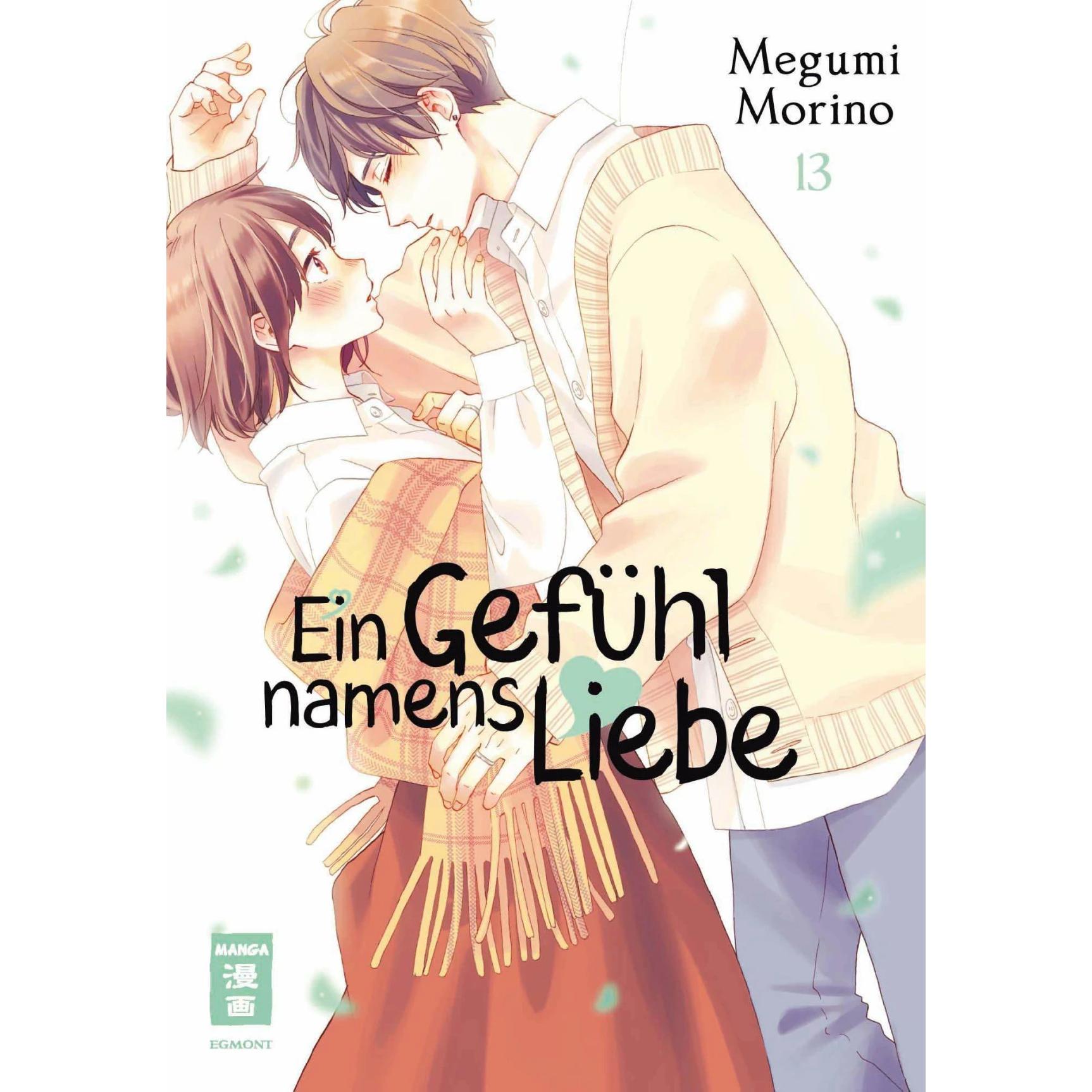 Ein Gefühl namens Liebe 13, Belletristik von Megumi Morino, Yayoi Okada-Willmann