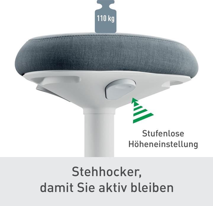 Actual product image Leitz Ergo Active