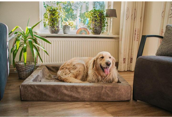 Produktbild Let's Sleep Comfy Cushion 60x50x12 Taupe (Hund)