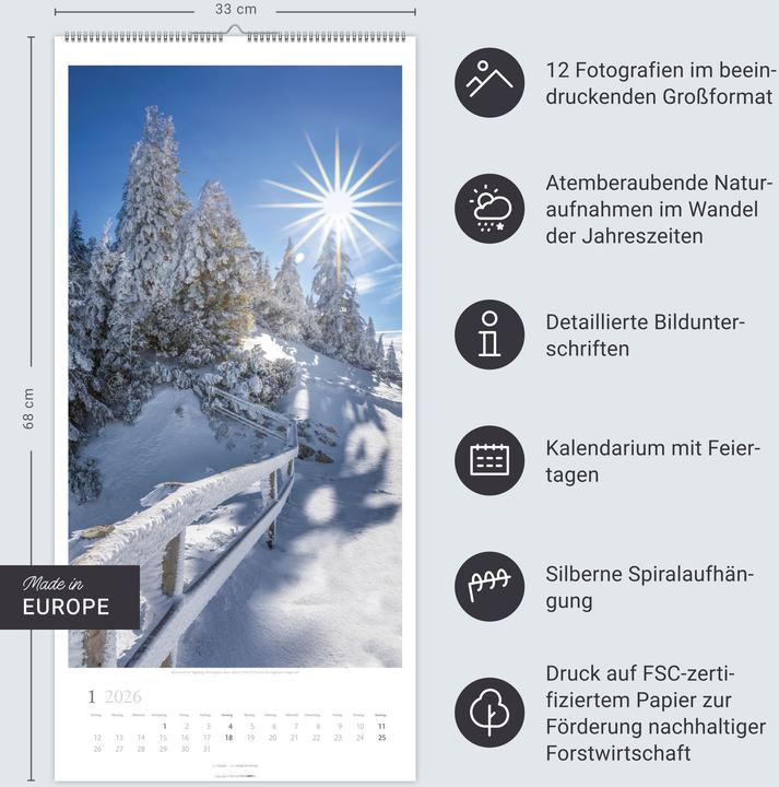 Produktbild Im Wald Kalender 2026 (33 x 68 cm, Harter Einband, Deutsch)