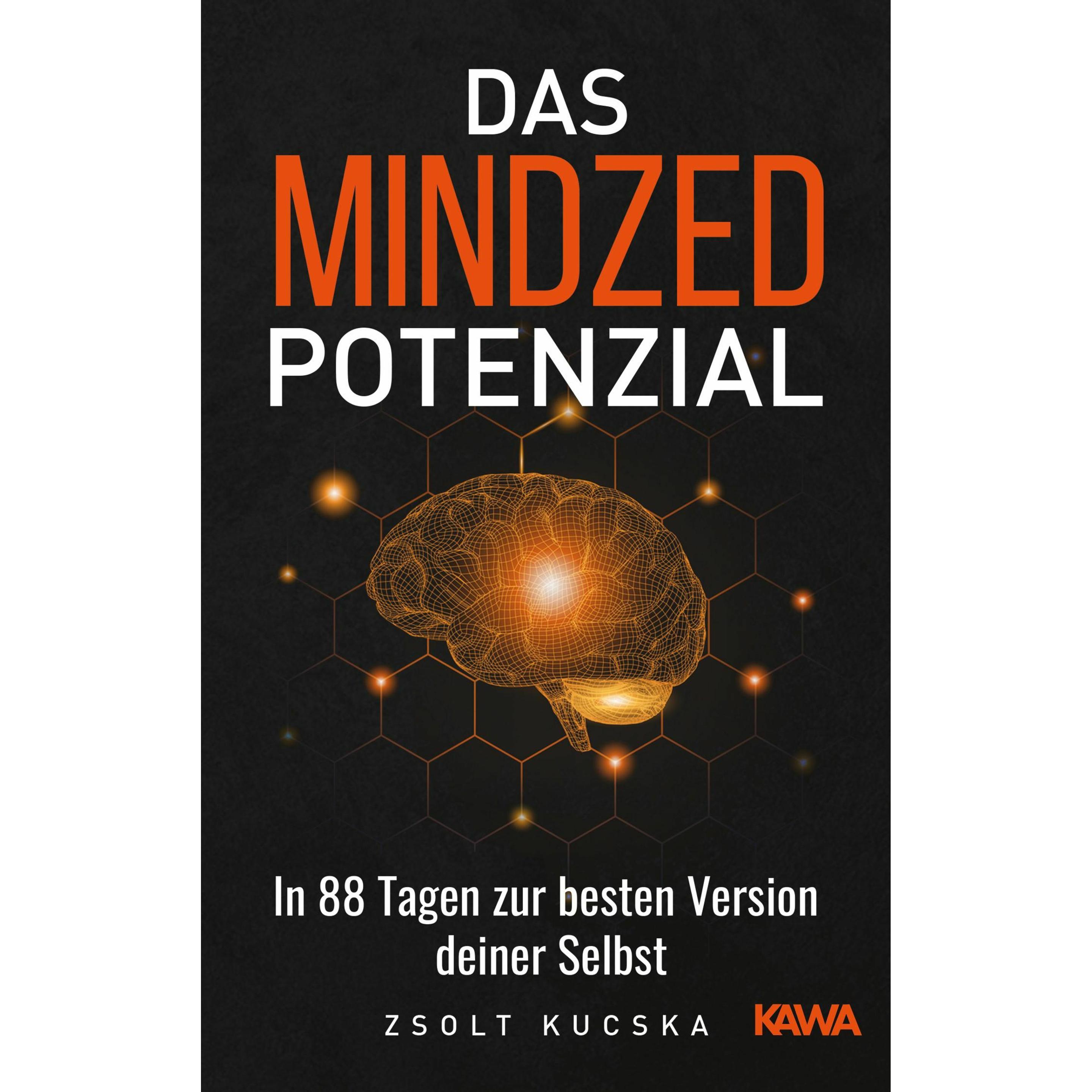 Das Mindzed Potenzial, Ratgeber von Zsolt Kucska