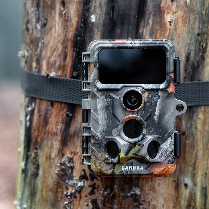 Actual product image Caruba Wildcamera Moose 4K