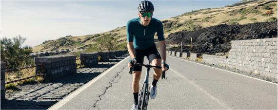 Produktbild Q 36.5 Jersey Short Sleeve Pinstripe Pro (S)