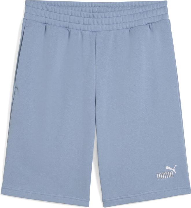 Actual product image Puma ESS 2 COLOR No. 1 Logo Shorts 10" TR (M)