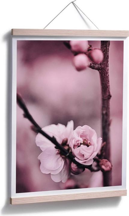 Immagine prodotto Trenddeko Boccioli di fiori (30 x 40 cm)