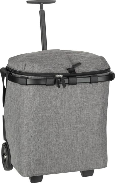 Actual product image reisenthel Carrycruiser (40 l)