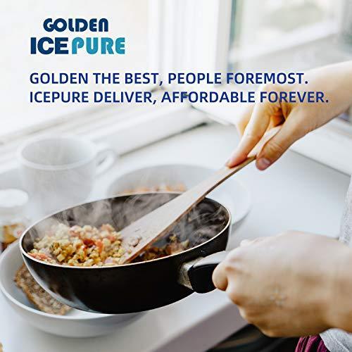 Immagine prodotto Golden Icepure Filtro a carboni attivi per il coperchio della pentola