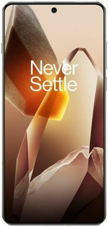 Produktbild OnePlus 13 (512 GB, Arctic Dawn, 6.82", Dual SIM, 5G)