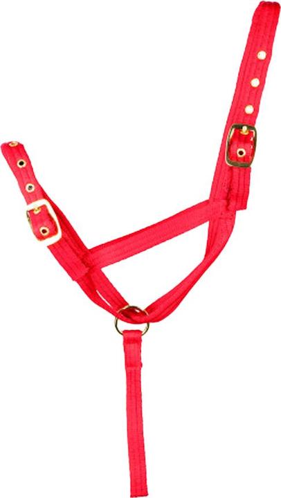 Immagine prodotto Hy Guinzaglio e Cavezza