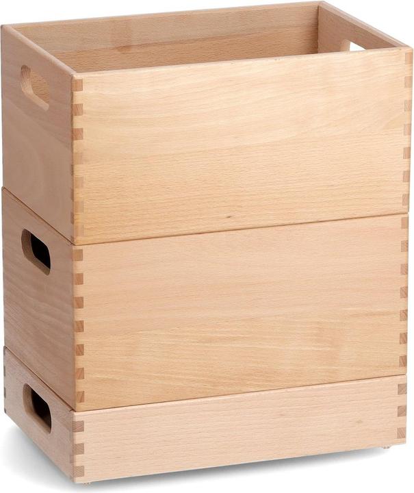 Image du produit Zeller Present Boîte polyvalente (30 x 20 x 15 cm, 6.60 l)