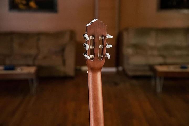 Actual product image Ortega Family Series Pro Solid Top Nylon Classical Guitar (Classical guitar, Solid ceiling)