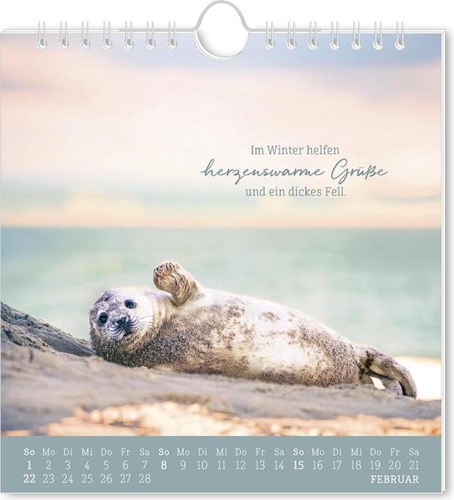 Produktbild Postkartenkalender 2026 Strandgut (16 x 17 cm)