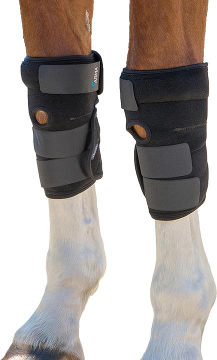 Arma Horse joint relief boots