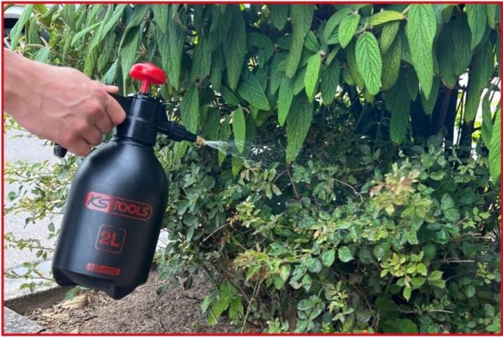 Actual product image KS Tools Pressure pump sprayer. 2 l (2 l)