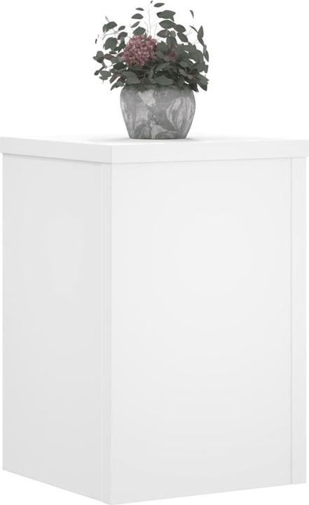 Image du produit vidaXL Supports pour plantes 2 pcs.