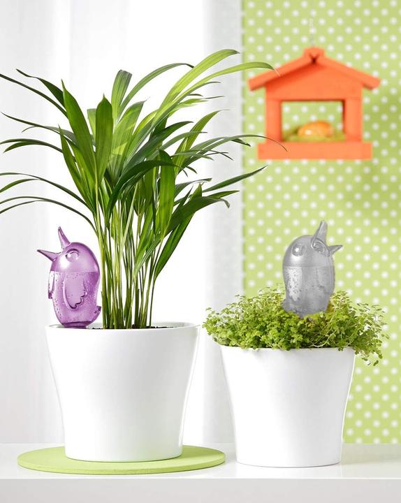 Actual product image Scheurich 4er-Set Bewässerungskugel 220ml Transparent Wasserspender Bördy M (Klar) Wasserspeicher (Irrigation balls)