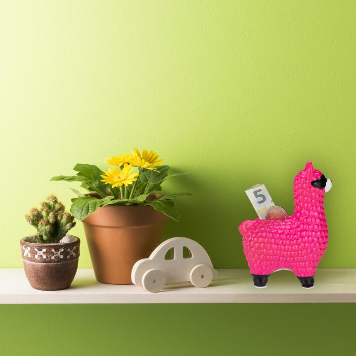 Actual product image Relaxdays Lama with Sunglasses Savings Bank