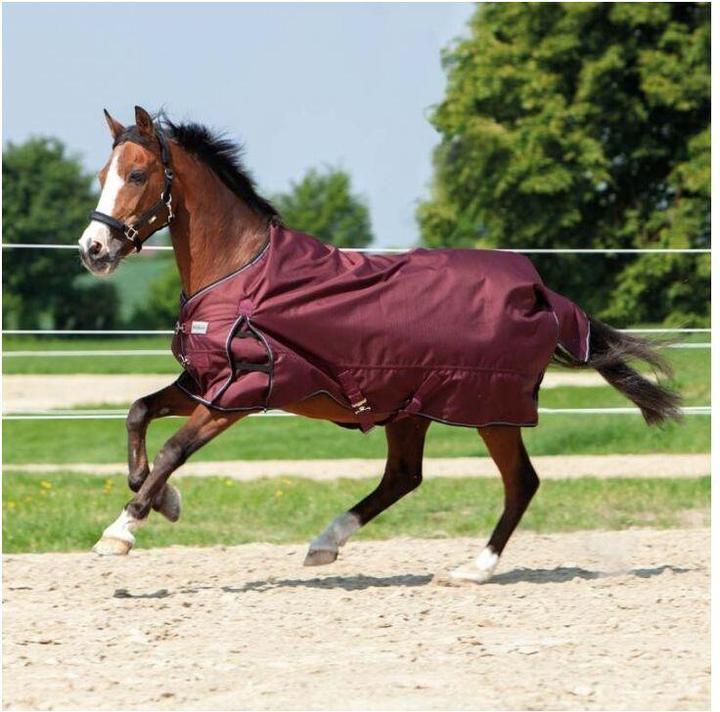 Actual product image Kavalkade Alaska IV 300 g (165 cm)