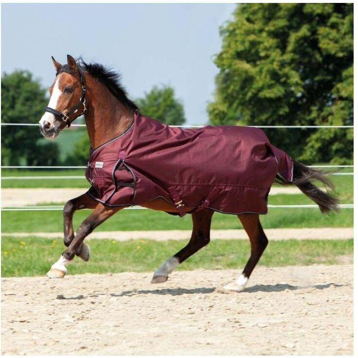 Kavalkade, Pferdedecke, (155 cm)