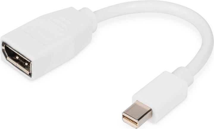Produktbild Digitus Mini DisplayPort — DisplayPort (Mini DP, 15 cm)