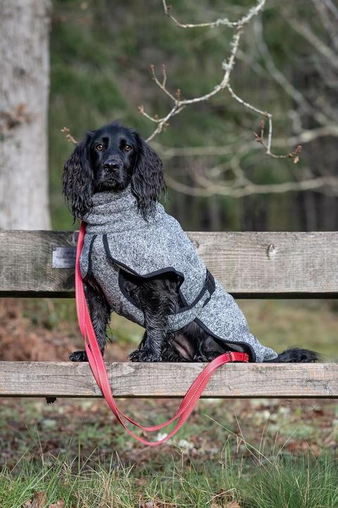 Image du produit Rukka Comfy (25, Manteau pour chien)