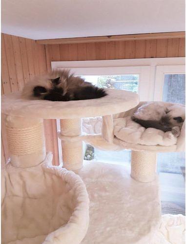 Produktbild Pet Homes Long Beach (192 cm, Beige)