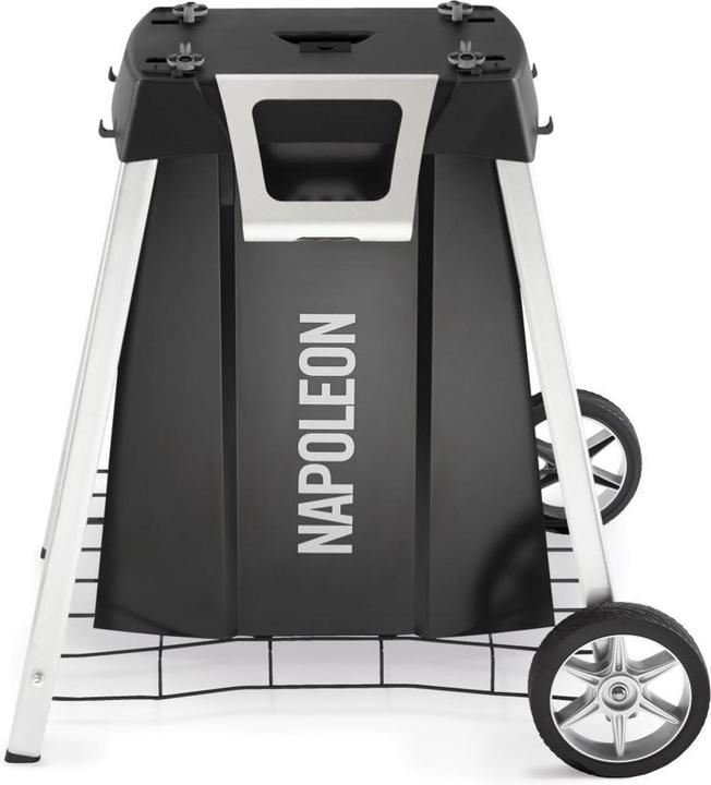 Actual product image Napoleon PRO285-STAND-CE