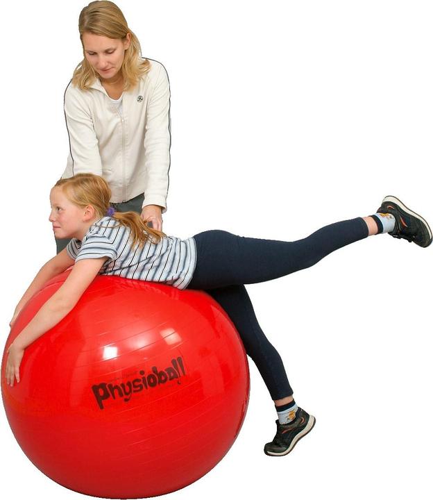 Produktbild Ledragomma Original Pezziball (95 cm)