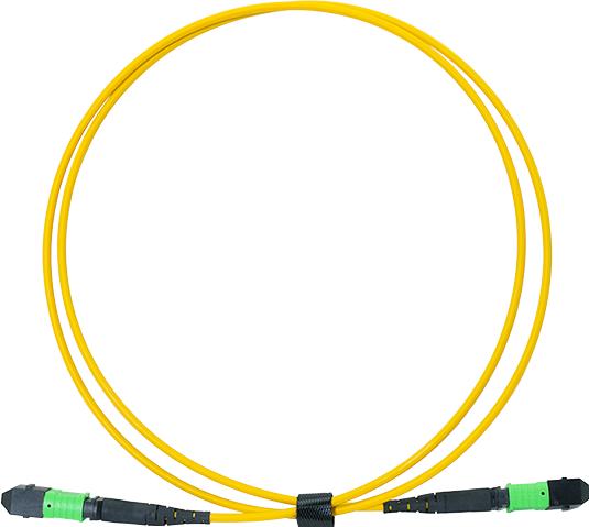 Image du produit LogiLink Prüfen (10 m)