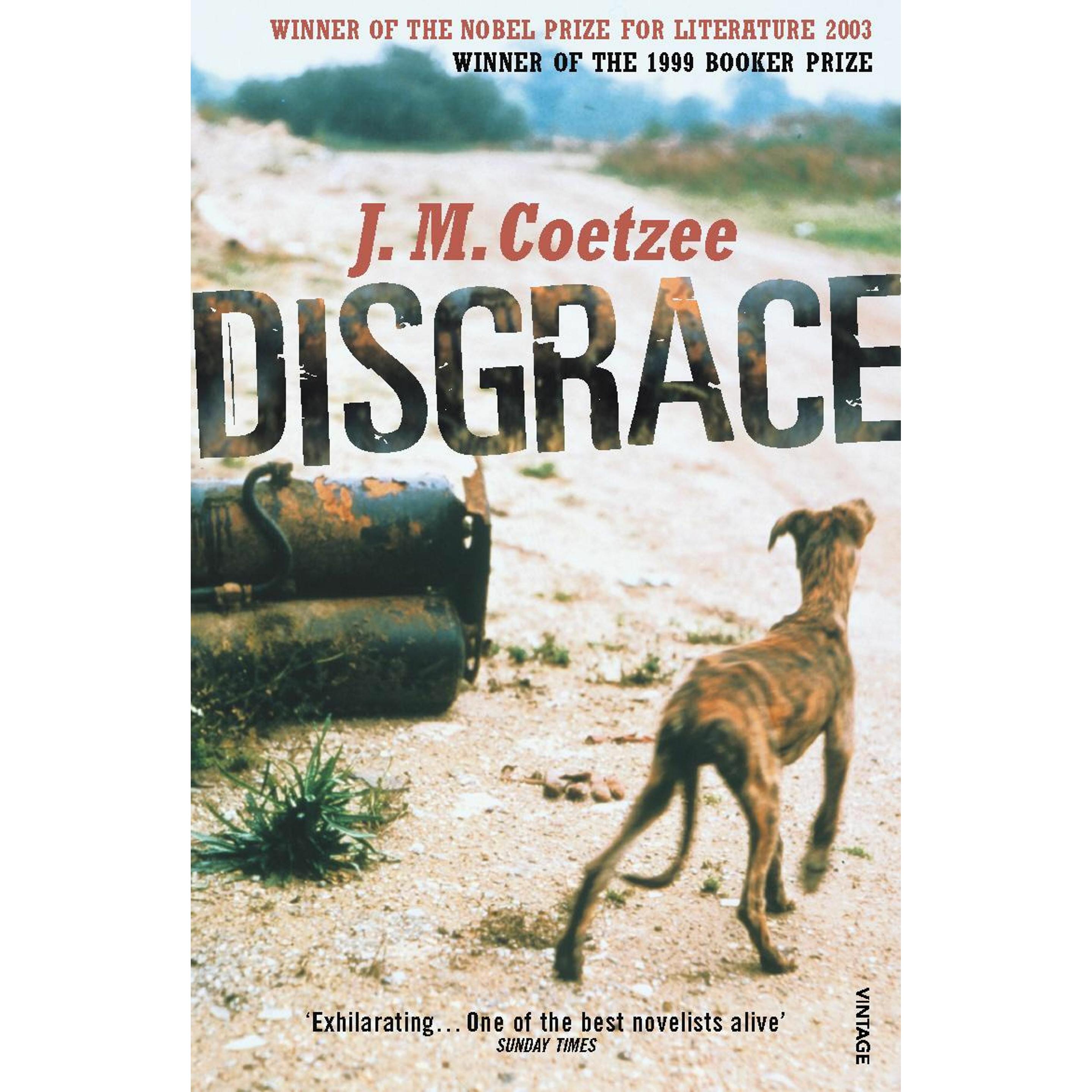 Thumbnail - Disgrace, Belletristik von J. M. Coetzee