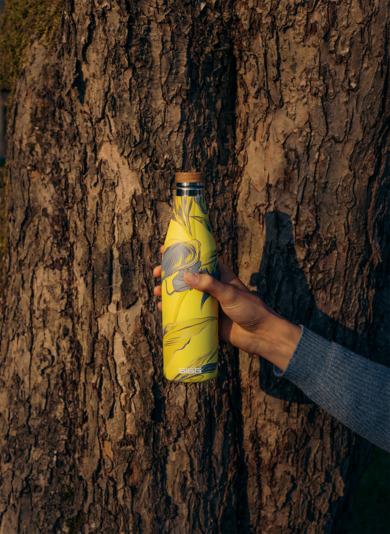 Immagine prodotto Sigg Meridian Sumatra (0.50 l)