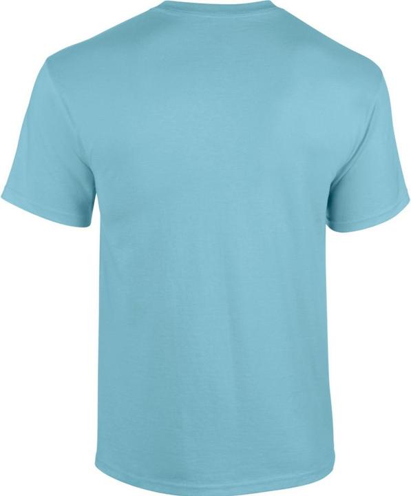 Image du produit Gildan TShirt (L)