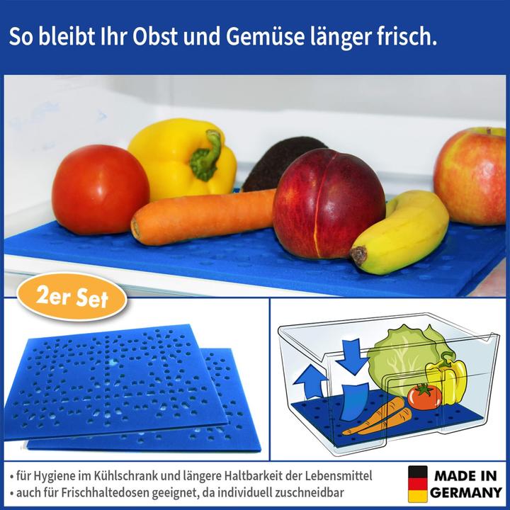 Fridge tray for fruit and vegetables 30 x 24 cm each, blue, pack of 2