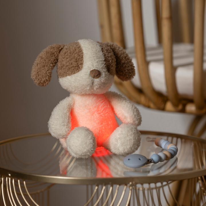 Produktbild Nattou Teddy Mini Hund
