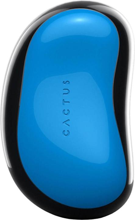 Immagine prodotto Cactus Barbora - Splendore nordico