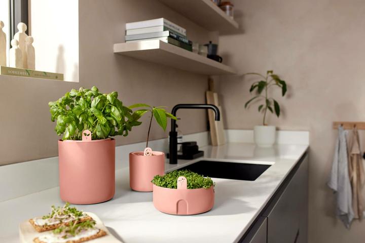 Produktbild Elho Amazing Avocado Pot