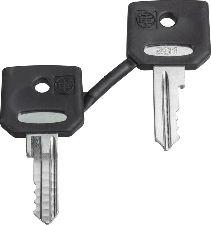 Schneider Electric Ersatzschlüssel f. Schlüsselschalter, ZBG520E